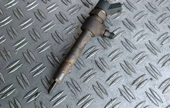 Fiat Punto (188) Fuel injector 0445110019