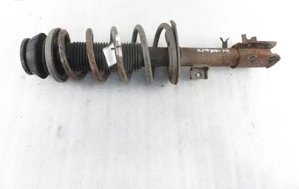 Fiat Sedici Front shock absorber with coil spring 