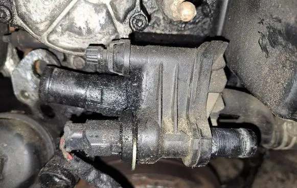 Citroen Berlingo Engine coolant pipe/hose