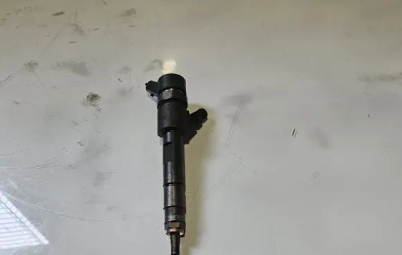 Renault Megane II Fuel injector 8200389369 0445110230