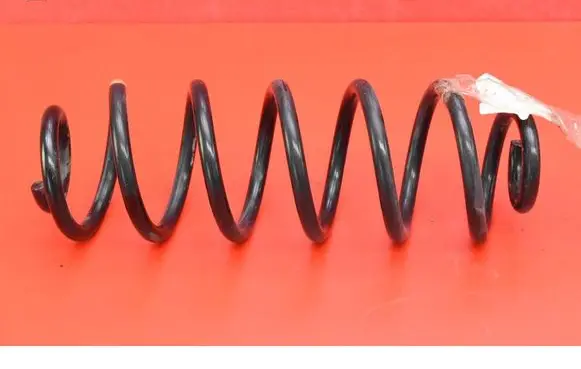 Rear coil spring