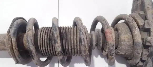 Rear coil spring