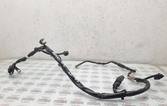 Volkswagen PASSAT B7 Wires (generator/alternator) 3AA971230T