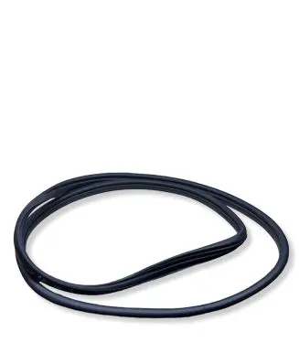 Hyundai Ioniq 5 Front door rubber seal 