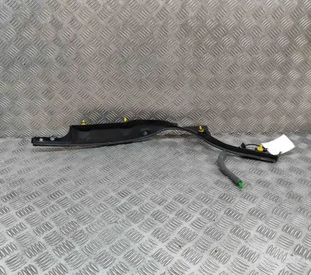 Rear/tail light trim molding