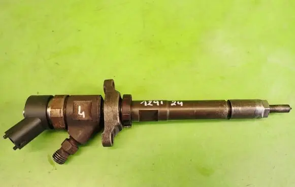 Citroen C5 Fuel injector 0445110259