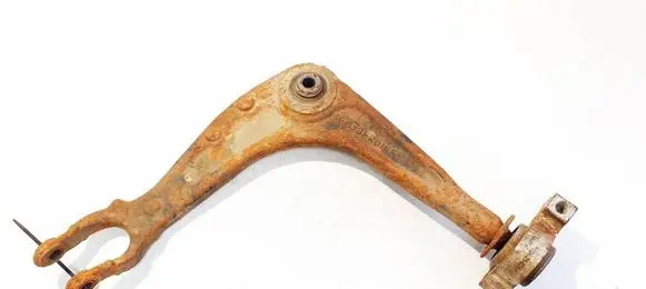 Front lower control arm/wishbone