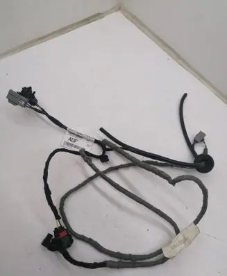 Rear door wiring loom