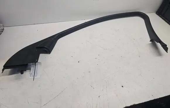Other front door trim element