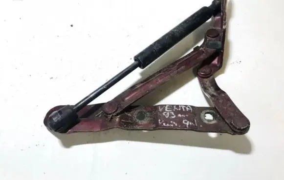 Volkswagen Vento Tailgate/trunk/boot hinge 1h5827301a