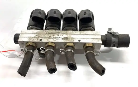 Renault Scenic II - Grand scenic II LP gas injector 67R-010973