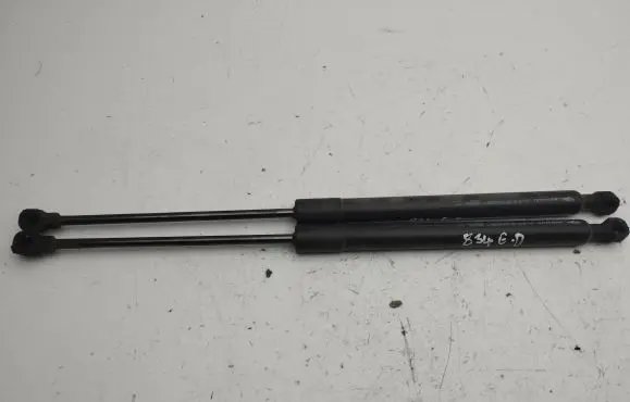 Renault Zoe Tailgate/trunk strut/damper 904502915R