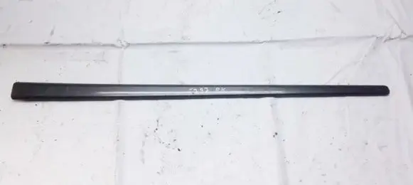 Front door trim (molding)