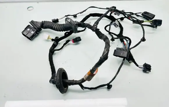 Ford Fusion II Front door wiring loom Gg9t14631acc 14631ACC CC9T