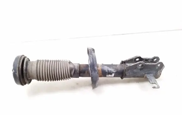 Opel Insignia A Front shock absorber/damper