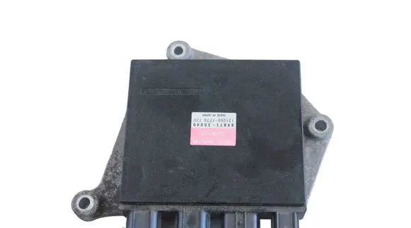 Lexus RX 450H Injection control unit/module 1310001770 8987130040