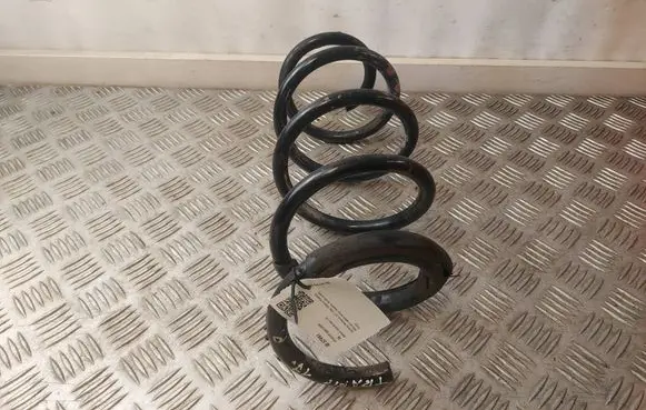 Renault Trafic III (X82) Front coil spring