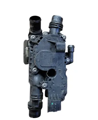 Thermostat/thermostat housing
