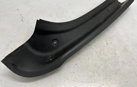 Rear/tail light trim molding