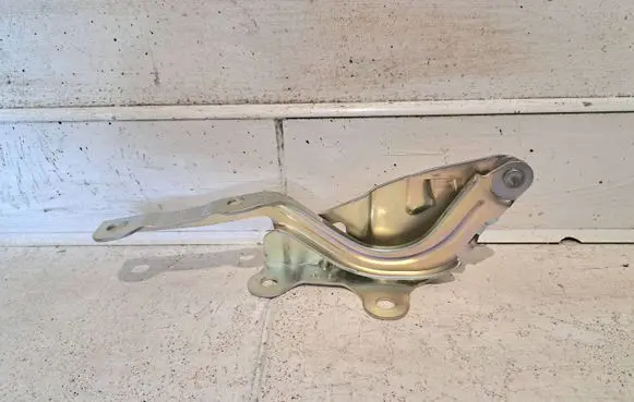 Hyundai i20 (GB IB) Engine bonnet/hood hinges 79120-c7000