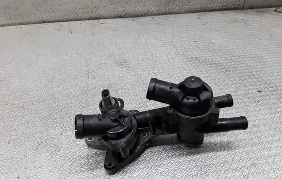 Thermostat/thermostat housing