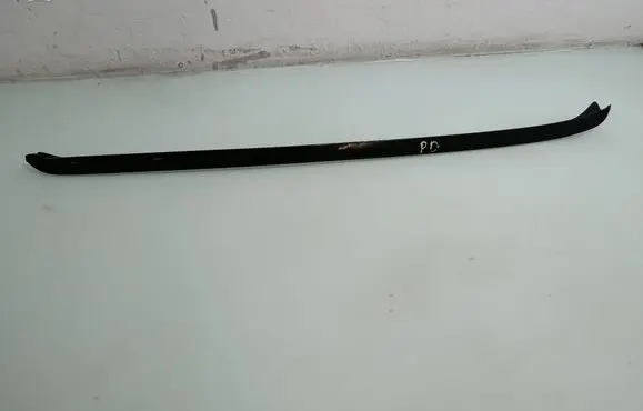 BMW X5 E70 Front door glass trim molding 
