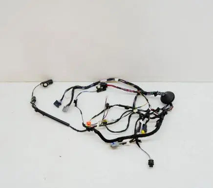 Tesla Model X Other wiring loom 103244270G