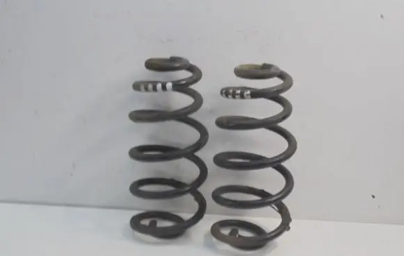 Rear coil spring