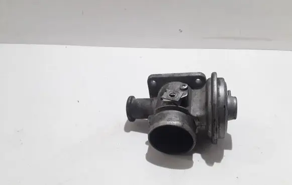 BMW 5 E39 EGR valve 72252300
