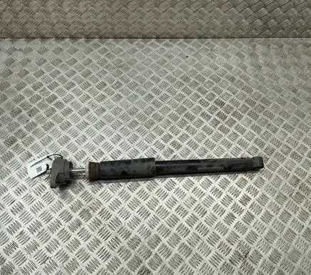 Porsche Panamera (971) Rear shock absorber/damper 971512131B 971513035C