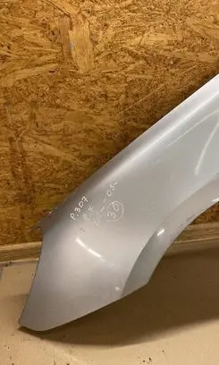 Peugeot 307 Fender