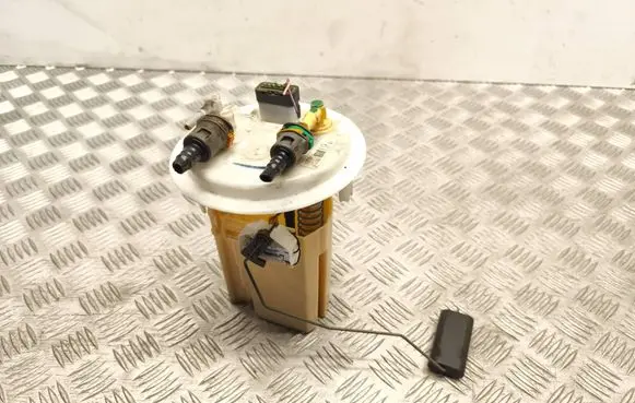 Citroen C5 In-tank fuel pump 