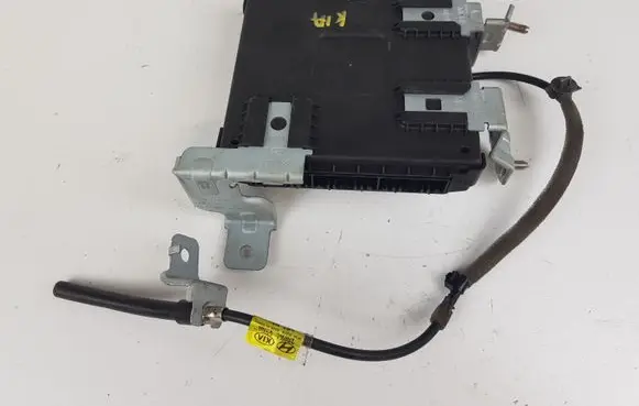 KIA Sportage Immobilizer control unit/module 954A0F1430 116RA003045