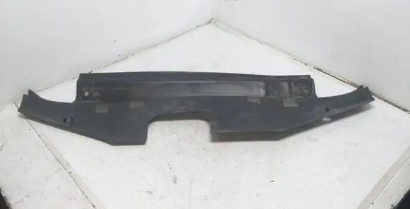 Engine bonnet/hood lock trim molding