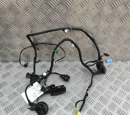 Audi Q2 - Front door wiring loom 81A971029AG