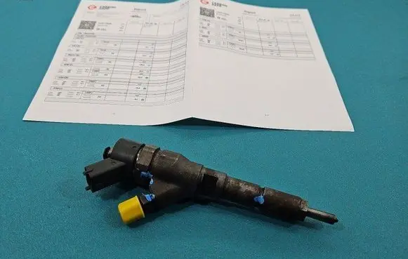 Peugeot 206 Fuel injector 0445110008 IMPRK1507218