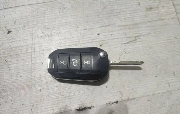 Peugeot 2008 II Ignition key/card 9810666677