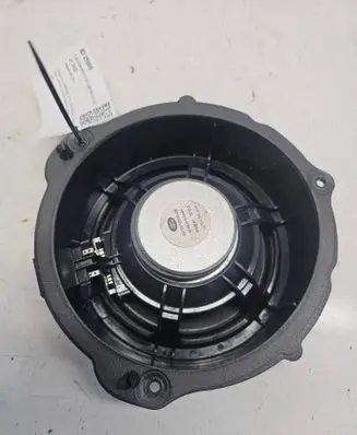 Rear door speaker