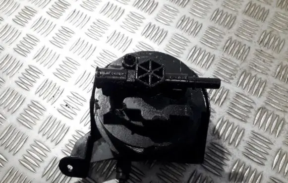Peugeot 407 Fuel filter 9645928180
