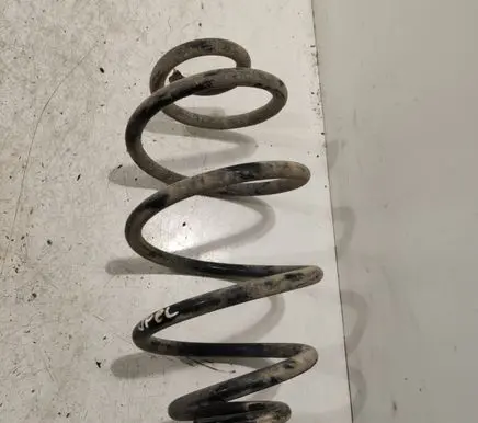 Rear coil spring
