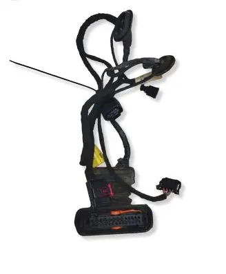 Volkswagen PASSAT B6 Front door wiring loom 3C1971120AJ