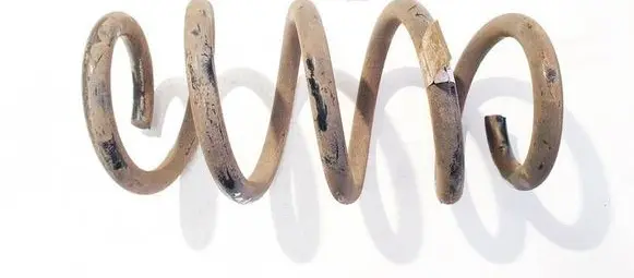 Rear coil spring