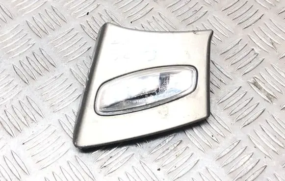Peugeot 308 Front door interior light 1090102 196598532 12503120