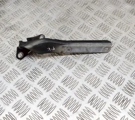 Citroen C6 Engine bonnet/hood hinges 9646043080