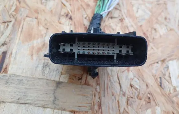 Fiat Freemont Other wiring loom PP10000678A 02313