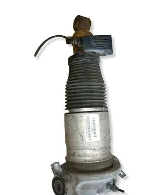Porsche Cayenne (9PA) Rear shock absorber/damper 7L5512022G 169ATE0226C619L