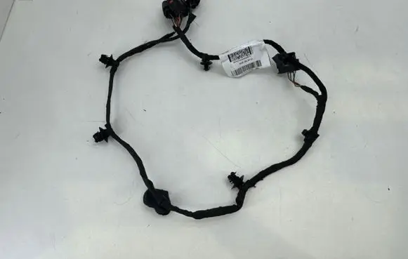 Fisker Ocean Other wiring loom FM2980610678C