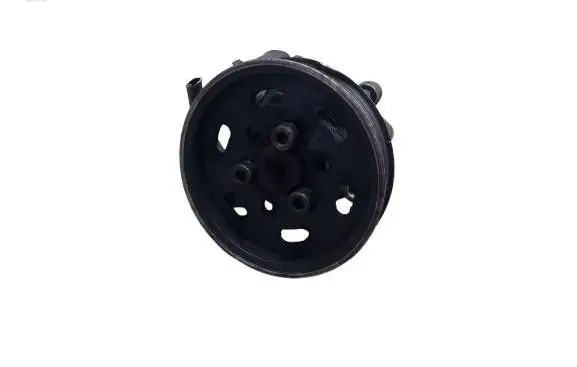 Volkswagen Golf IV Power steering pump 1J0422154AKAS 1J0422154A