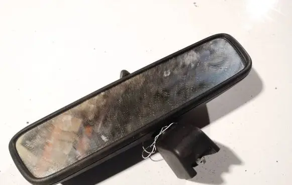 Opel Signum Rear view mirror (interior) e1010456