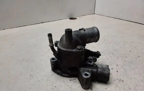 Thermostat/thermostat housing